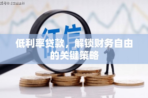 海兴低利率贷款，解锁财务自由的关键策略