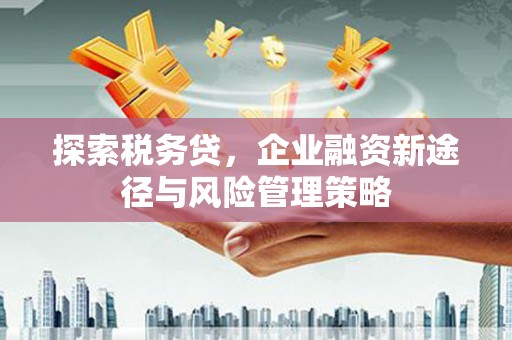 高邮探索税务贷，企业融资新途径与风险管理策略