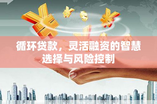 邵阳循环贷款，灵活融资的智慧选择与风险控制