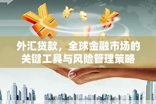 昌都外汇贷款，全球金融市场的关键工具与风险管理策略