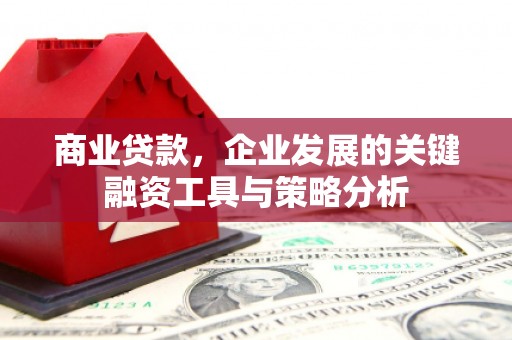 新都商业贷款，企业发展的关键融资工具与策略分析