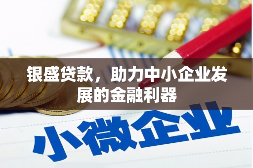 西塞山银盛贷款，助力中小企业发展的金融利器