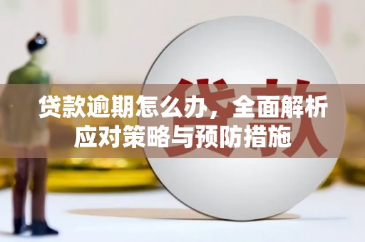 元朗贷款逾期怎么办，全面解析应对策略与预防措施