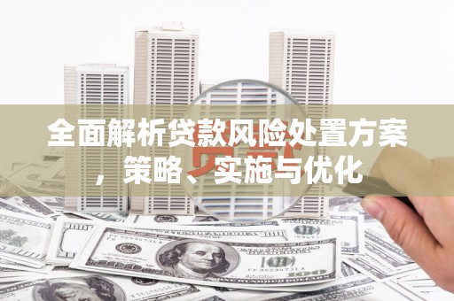 苓雅全面解析贷款风险处置方案，策略、实施与优化