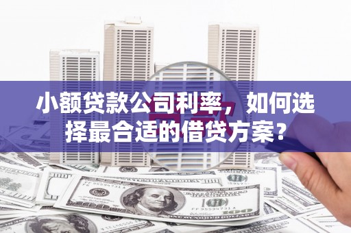 正镶白旗小额贷款公司利率，如何选择最合适的借贷方案？