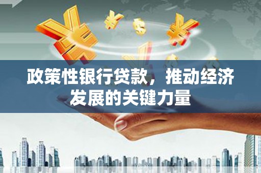 洋县政策性银行贷款，推动经济发展的关键力量