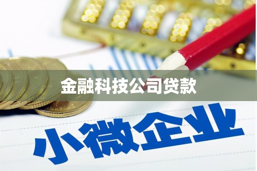宣化金融科技公司贷款