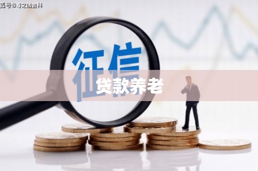 武宣贷款养老