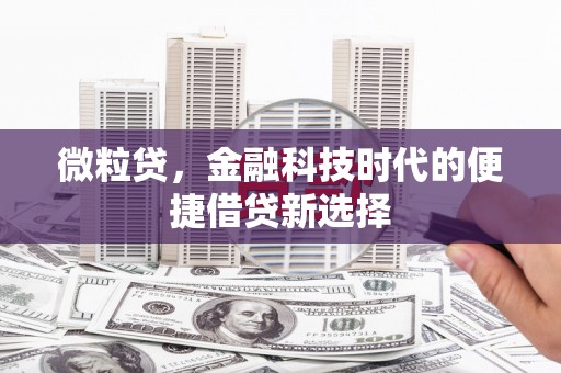 寿宁微粒贷，金融科技时代的便捷借贷新选择