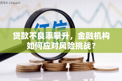 资阳贷款不良率攀升，金融机构如何应对风险挑战？