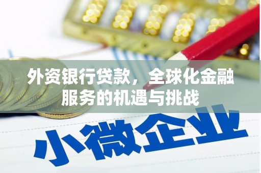 山南外资银行贷款，全球化金融服务的机遇与挑战