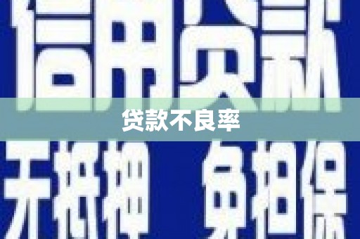 大关贷款不良率
