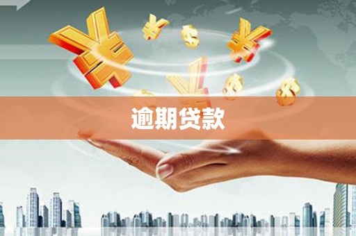 察雅逾期贷款