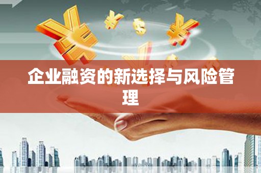 葵青企业融资的新选择与风险管理