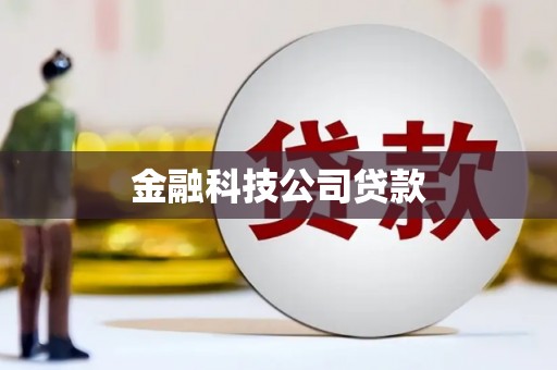 正宁金融科技公司贷款