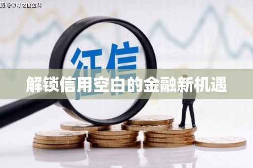 岱岳解锁信用空白的金融新机遇