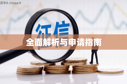 定安全面解析与申请指南