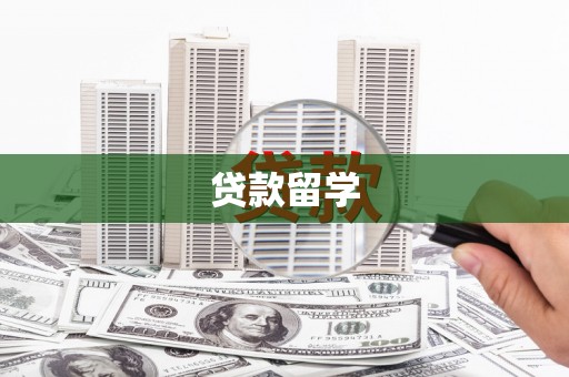 新营贷款留学